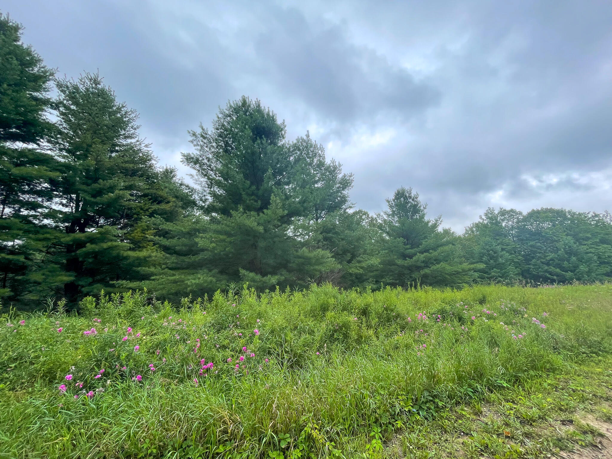 0 16 16 Mile Road Leroy, MI 49655 - Photo 29 of 47 29