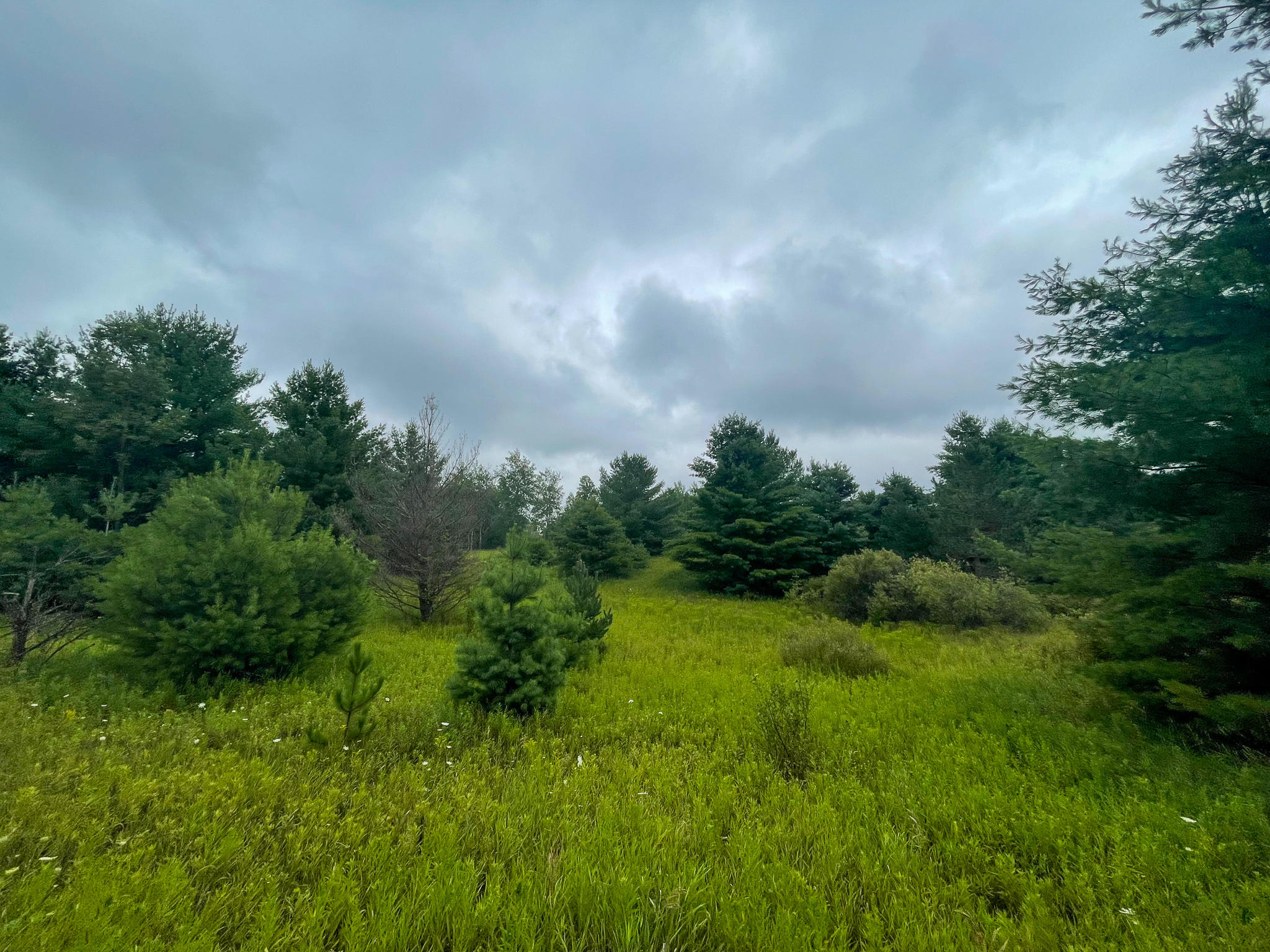 0 16 16 Mile Road Leroy, MI 49655 - Photo 3 of 47 3