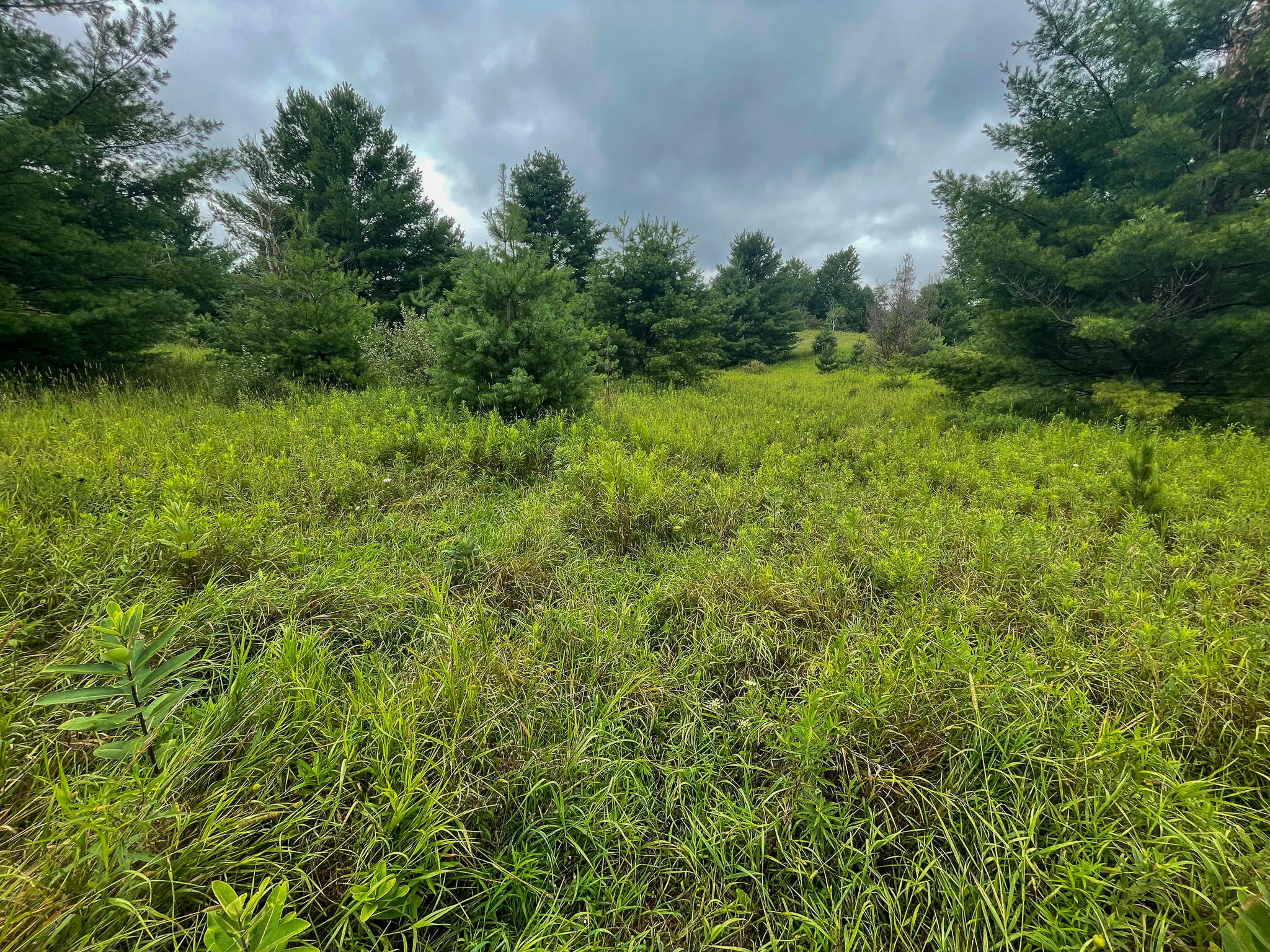 0 16 16 Mile Road Leroy, MI 49655 - Photo 8 of 47 8