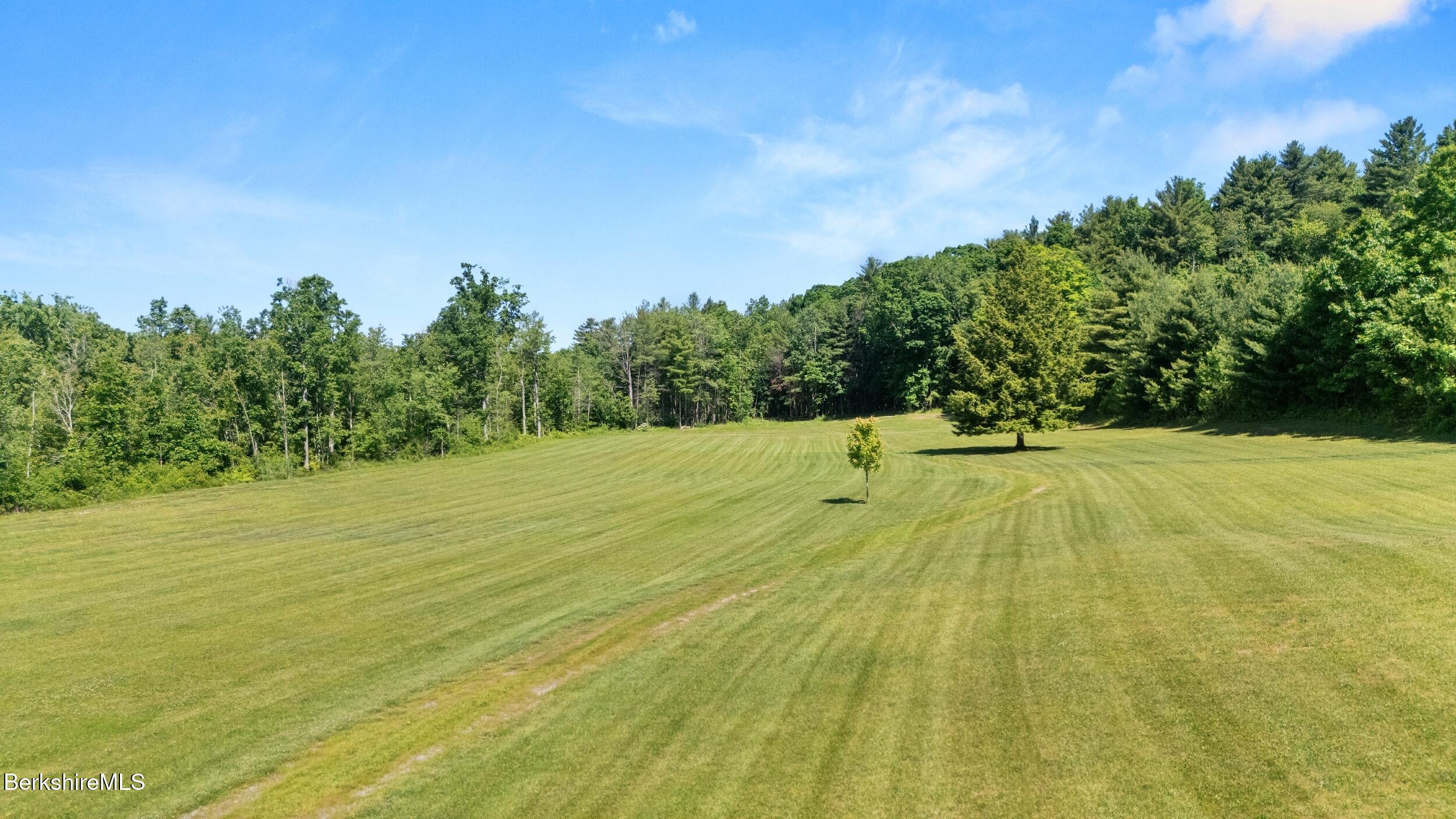 134 Hurlburt Road Great Barrington, MA 01230 - Photo 5 of 50 a view of yard with swimming pool and trees in the background