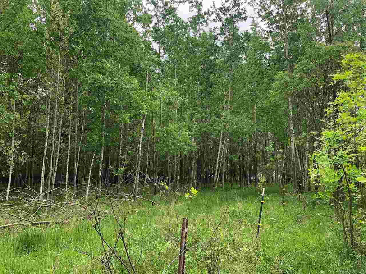 2240 North Bay-Mid County Line Road Rhodes, MI 48652 - Photo 33 of 41