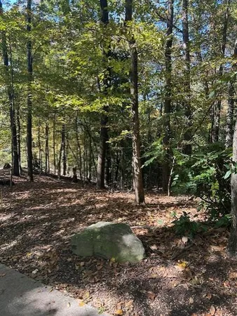 a view of outdoor space with trees