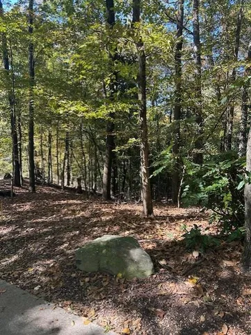 a view of outdoor space with trees