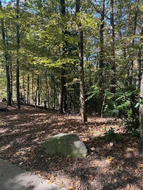 a view of outdoor space with trees