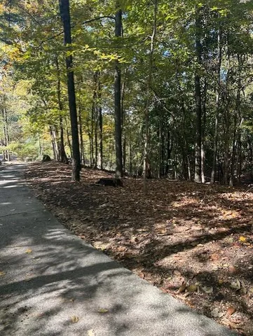 a view of outdoor space with trees