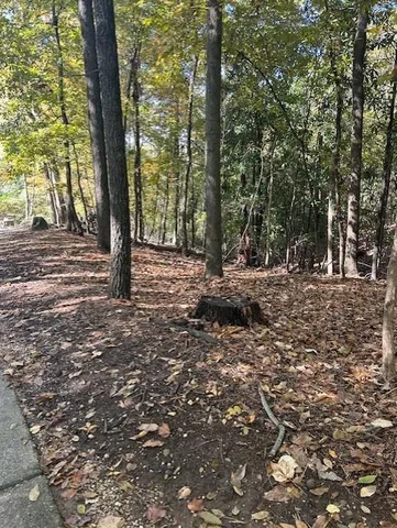 a view of a tree in the middle of a yard