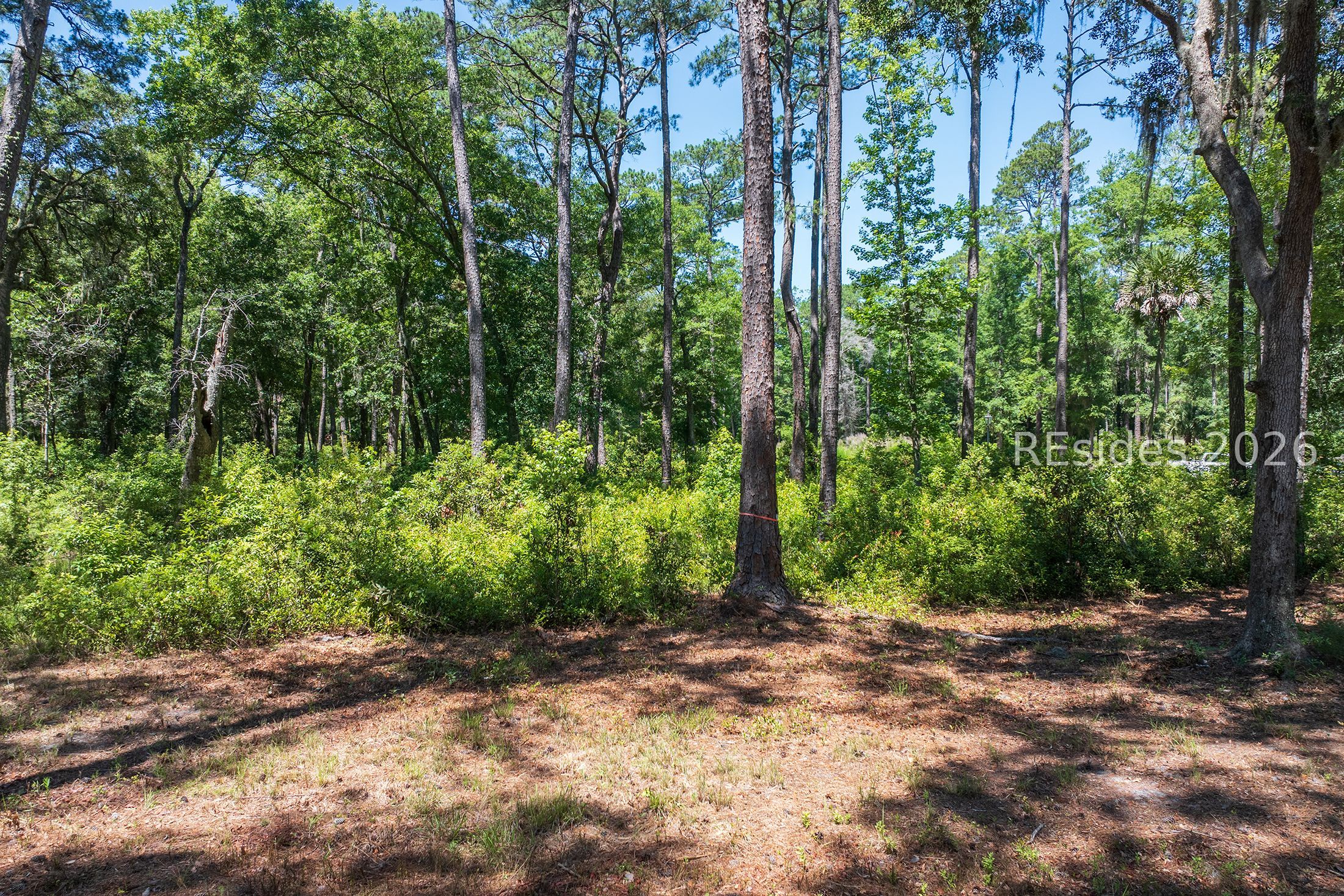 77 Lupine Road Bluffton, SC 29910 - Photo 20 of 28