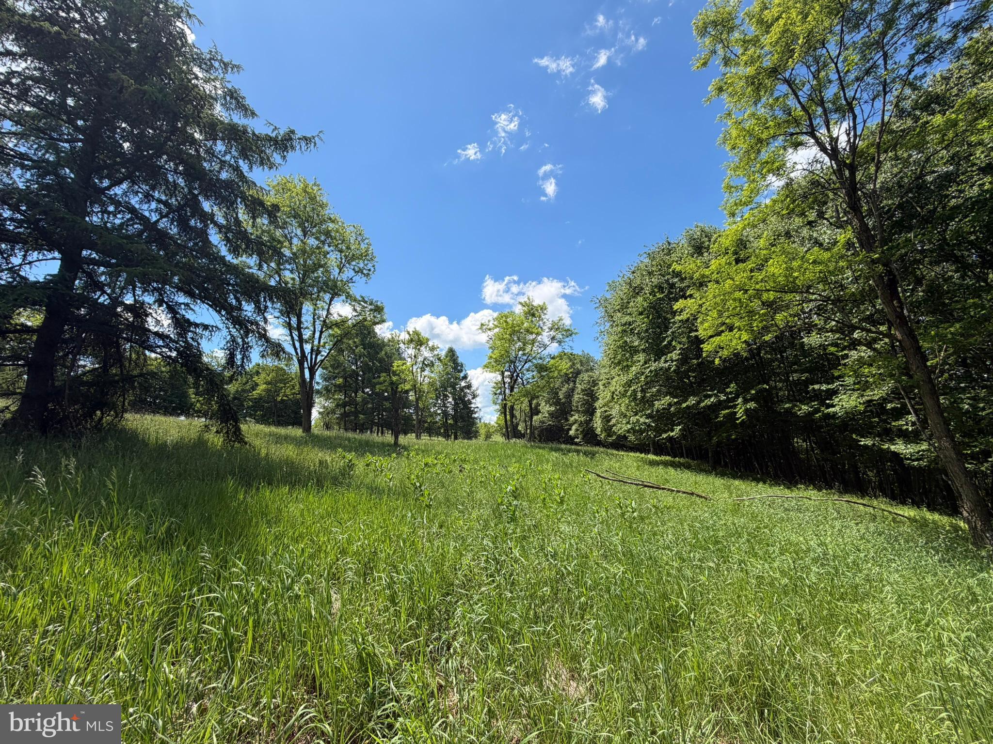 848 Sugar Camp Road Clearfield, PA 16830 - Photo 43 of 118