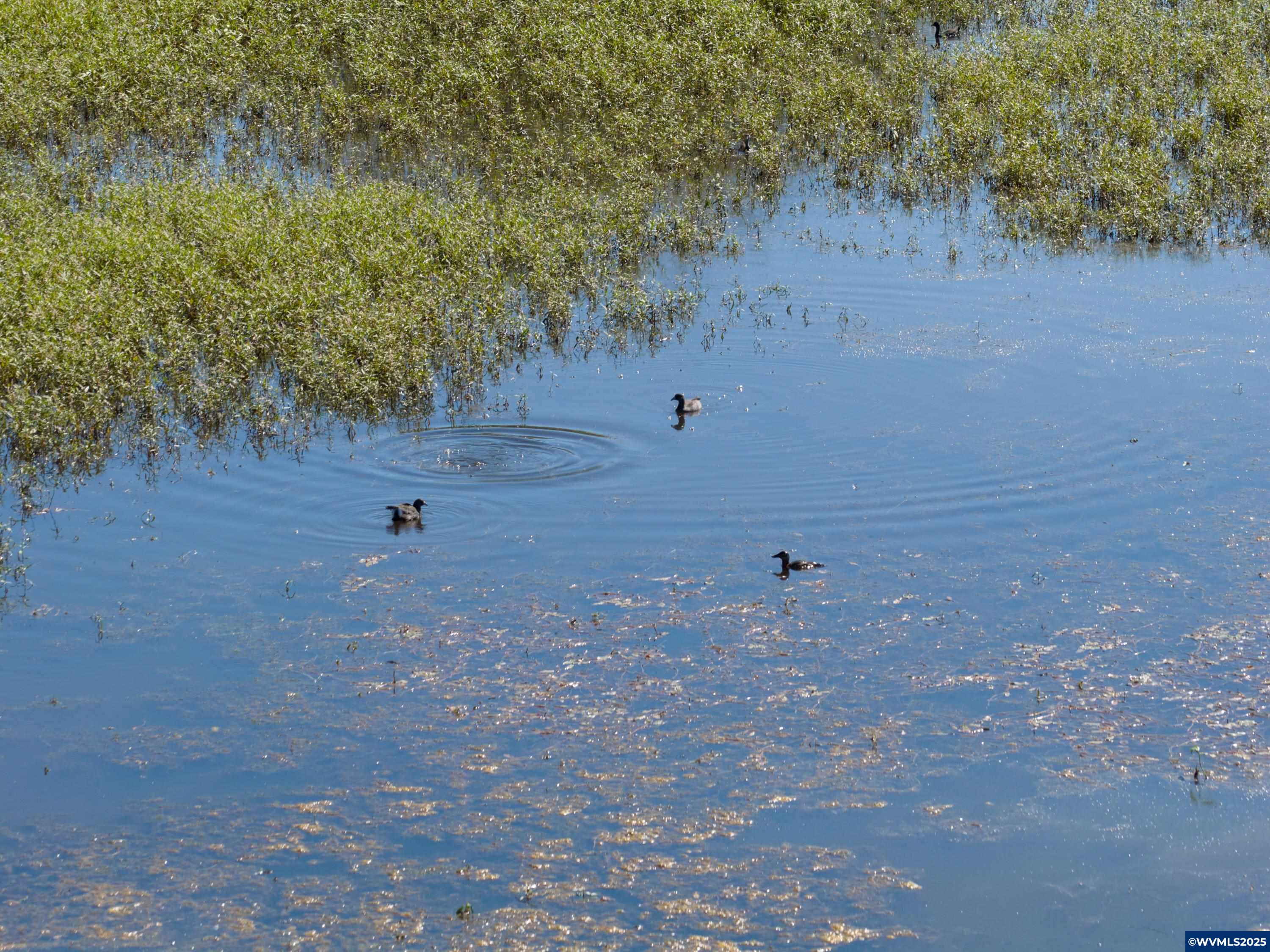 Lot 5332 Duck Club Scappoose, OR 97056 - Photo 23 of 33