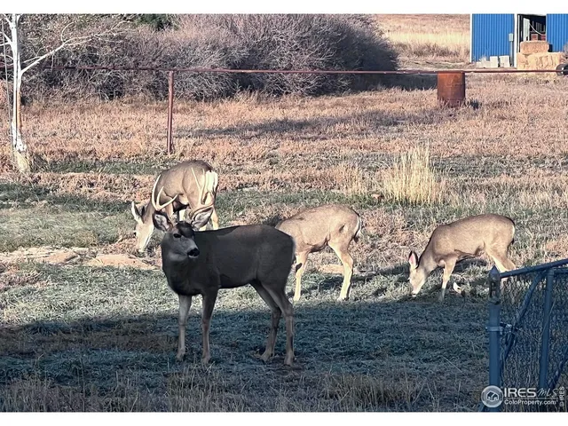 $1,060,000 | 11837 County Road 39, Fort Lupton, CO 80621