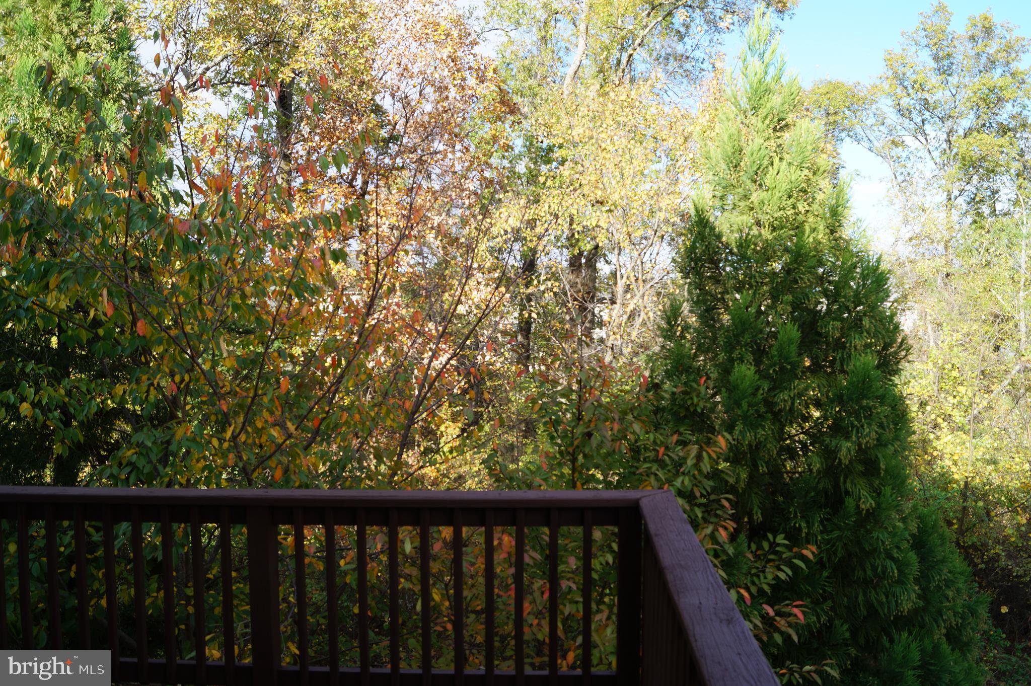 25575 America Square Chantilly, VA 20152 - Photo 16 of 47