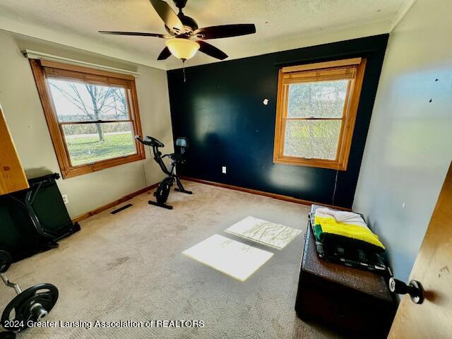 6137 Oneida Road Charlotte, MI 48813 - Photo 34 of 53 IMG_2873