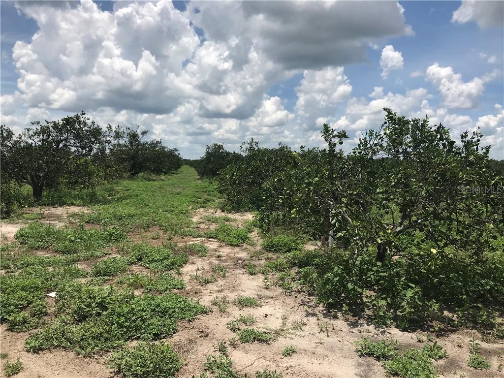 4065 Northwest Co Road Arcadia, FL 34266 - Photo 1 of 1