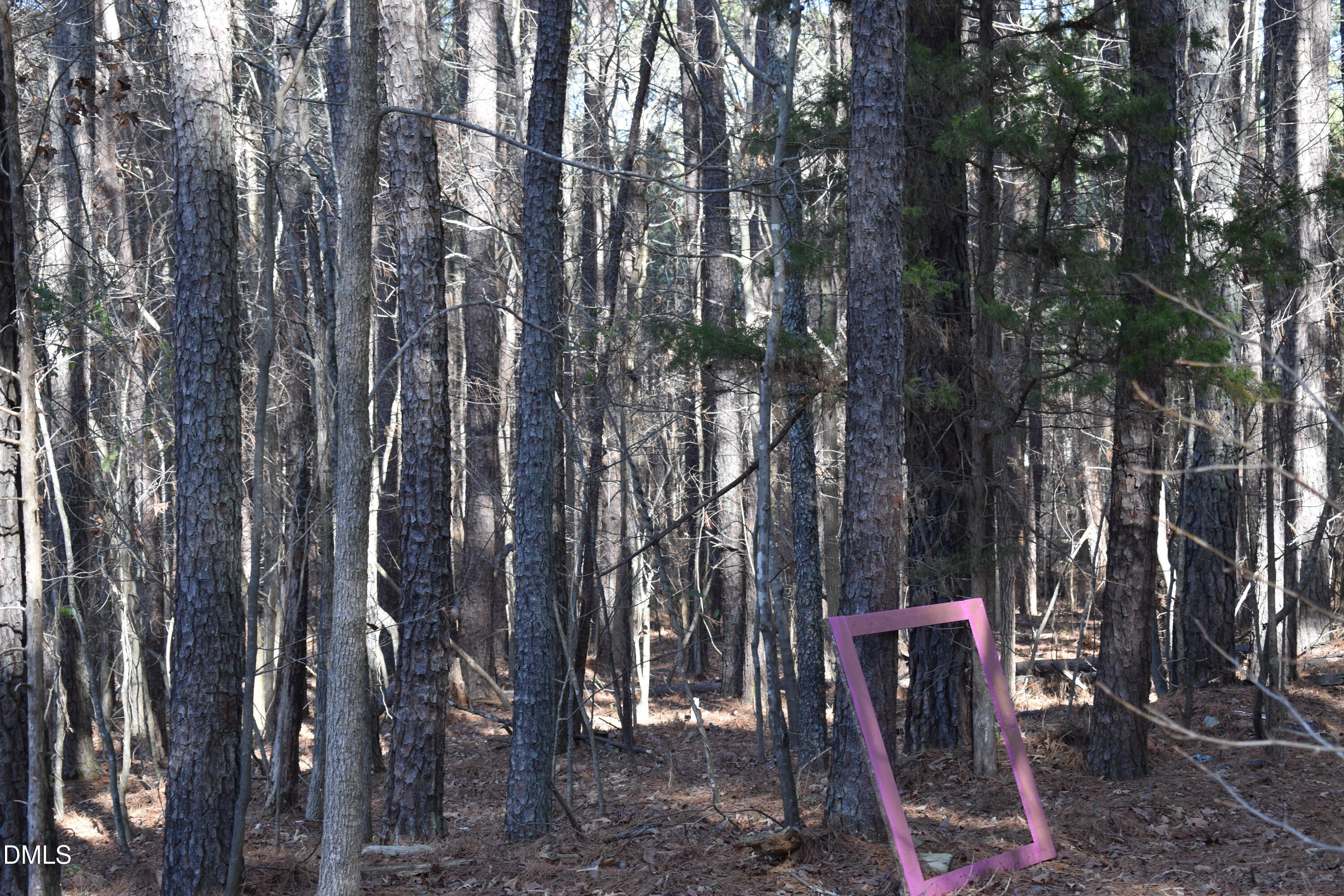 806 Carpenter Fletcher Road Durham, NC 27713 - Photo 4 of 4 DSC_0391