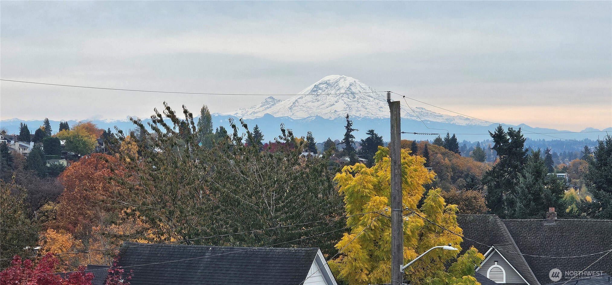 817 24th Avenue South, Unit B Seattle, WA 98144 - Photo 31 of 33 a view of a fountain in middle of the house