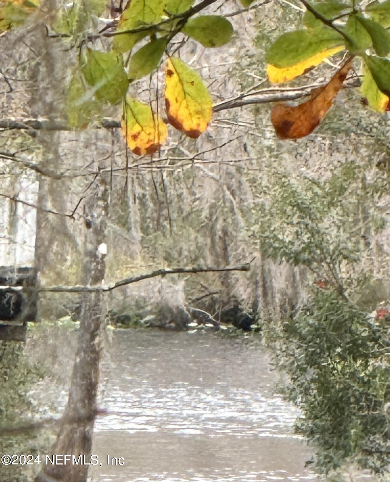 779 Ridgeline Road Satsuma, FL 32189 - Photo 43 of 43 Dunns Creek