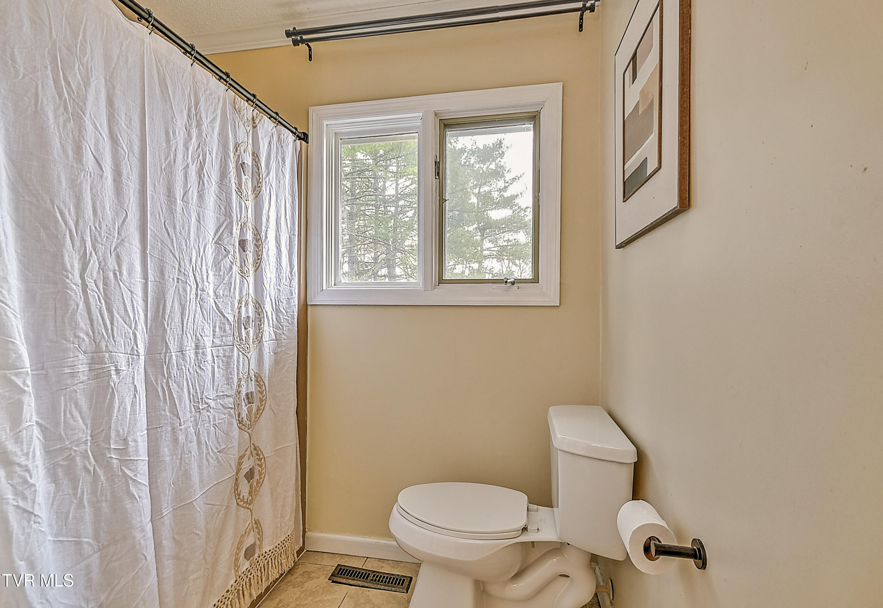 149 Kingsbridge Bristol, TN 37620 - Photo 44 of 61 149 Kingsbridge DOM-43