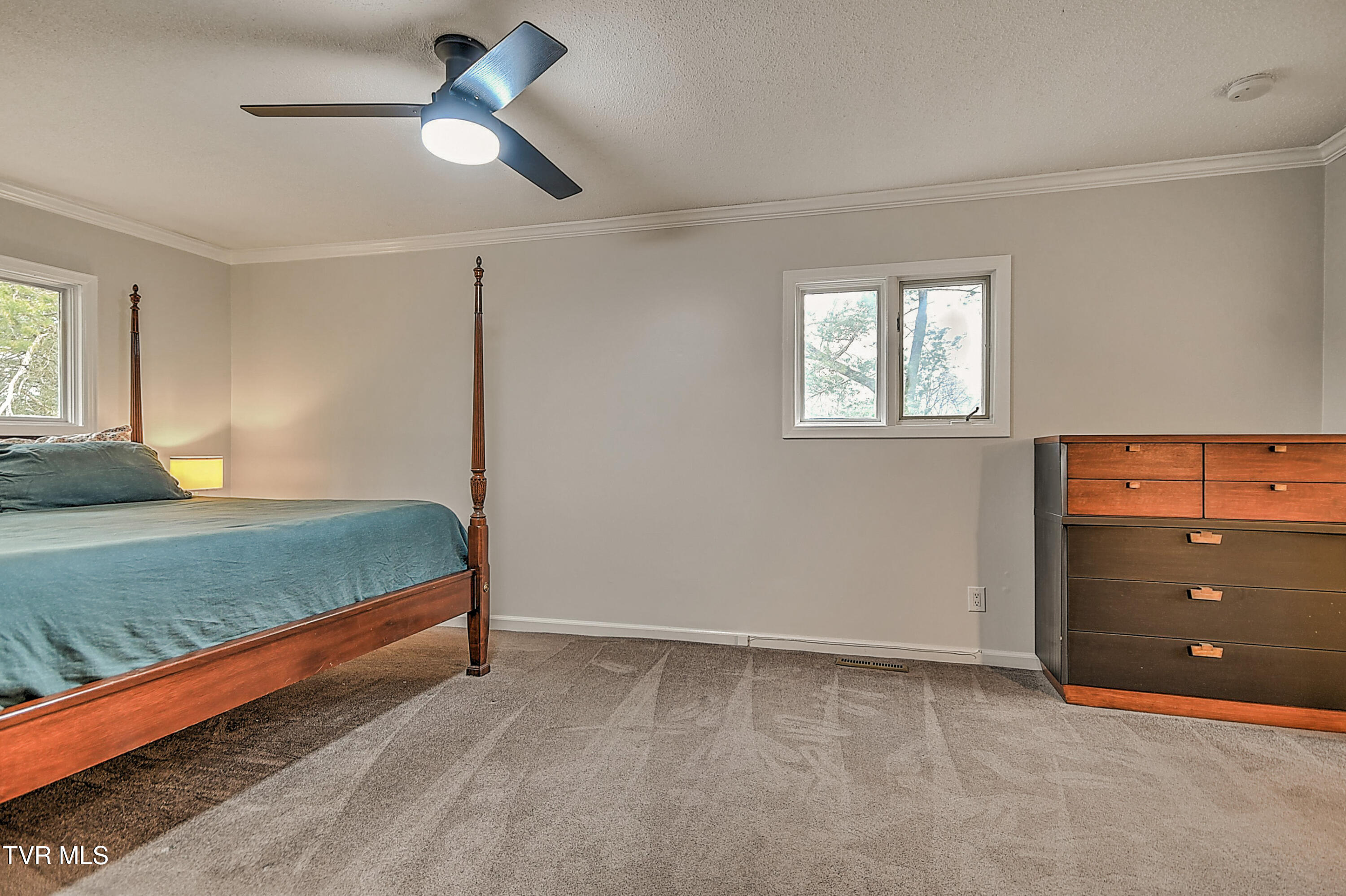 149 Kingsbridge Bristol, TN 37620 - Photo 45 of 61 149 Kingsbridge DOM-44