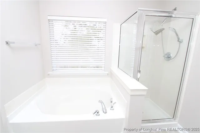 a bathroom with a bathtub and a shower