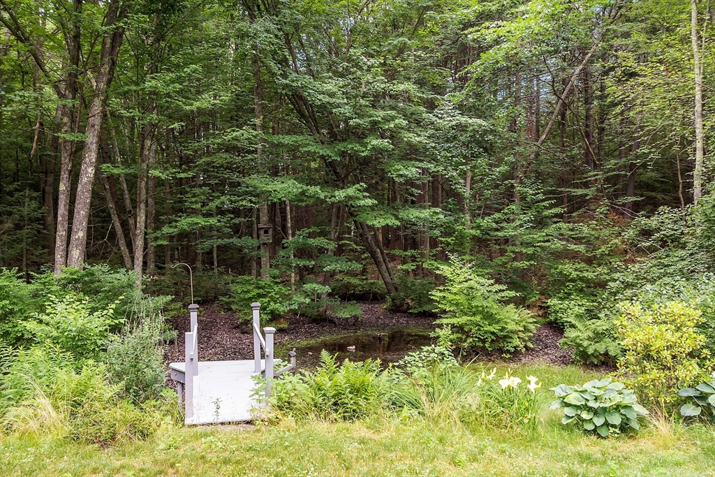 18 Crane Crossing Road Plaistow, NH 03865 - Photo 4 of 36 a view of a garden with plants