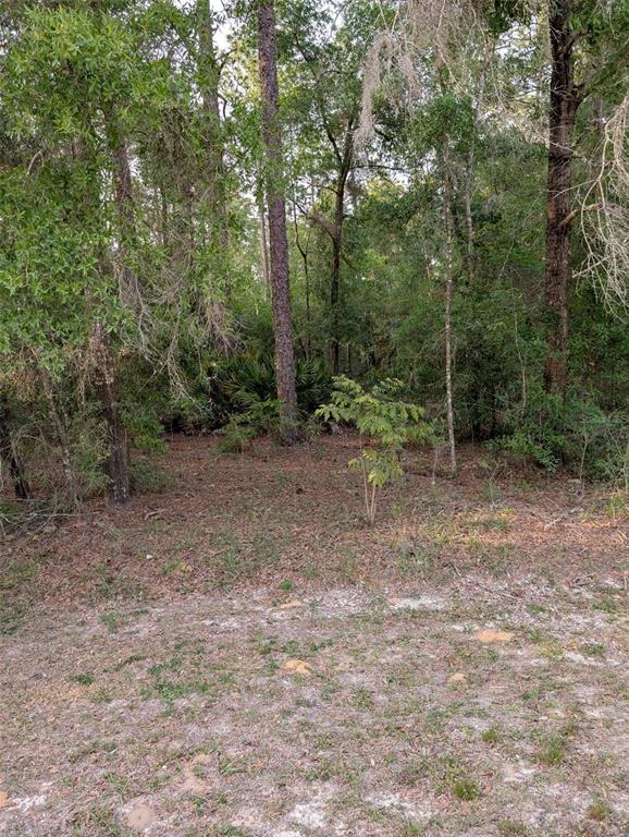 15475 Southwest 36 Street Ocala, FL 34481 - Photo 5 of 5