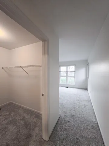 $3,200 | 905 Wildt Street, Ann Arbor, MI 48103