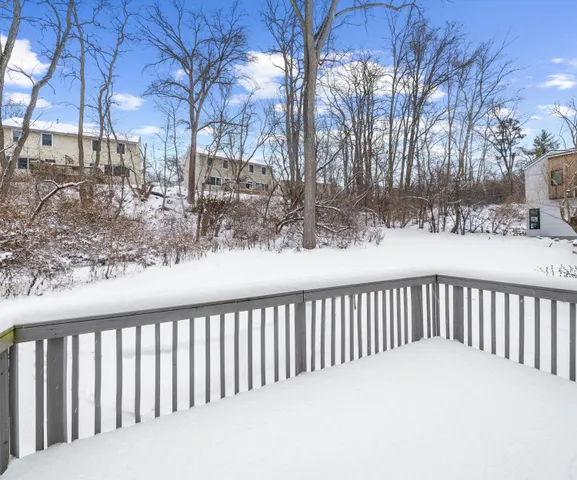 $3,200 | 905 Wildt Street, Ann Arbor, MI 48103