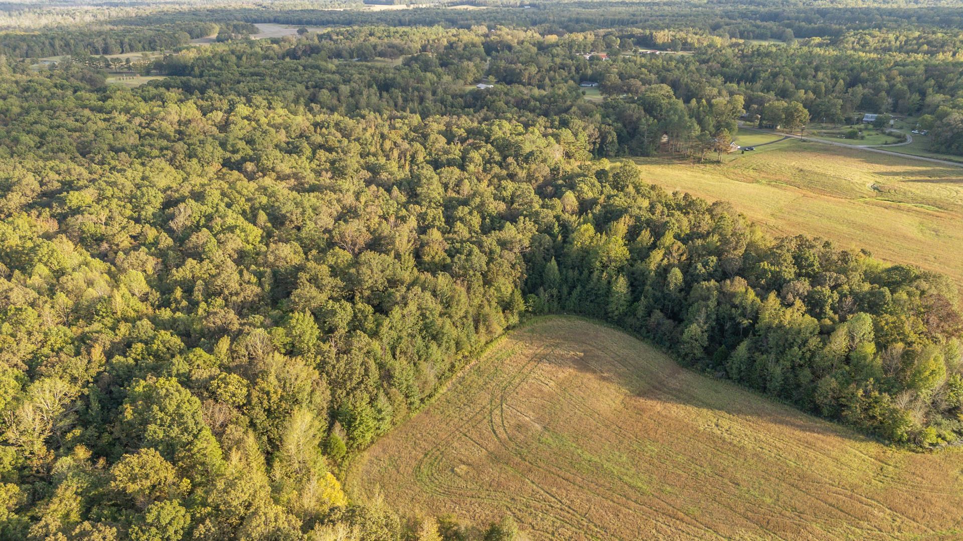 7705 Peavine Road Middleton, TN 38052 - Photo 11 of 15