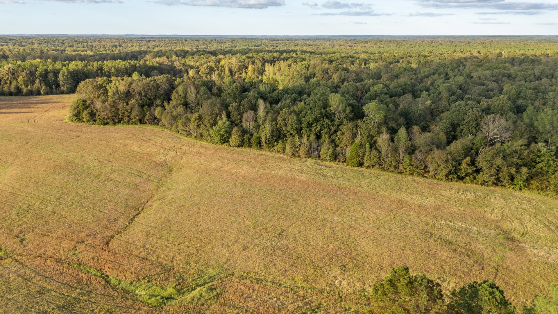 7705 Peavine Road Middleton, TN 38052 - Photo 13 of 15