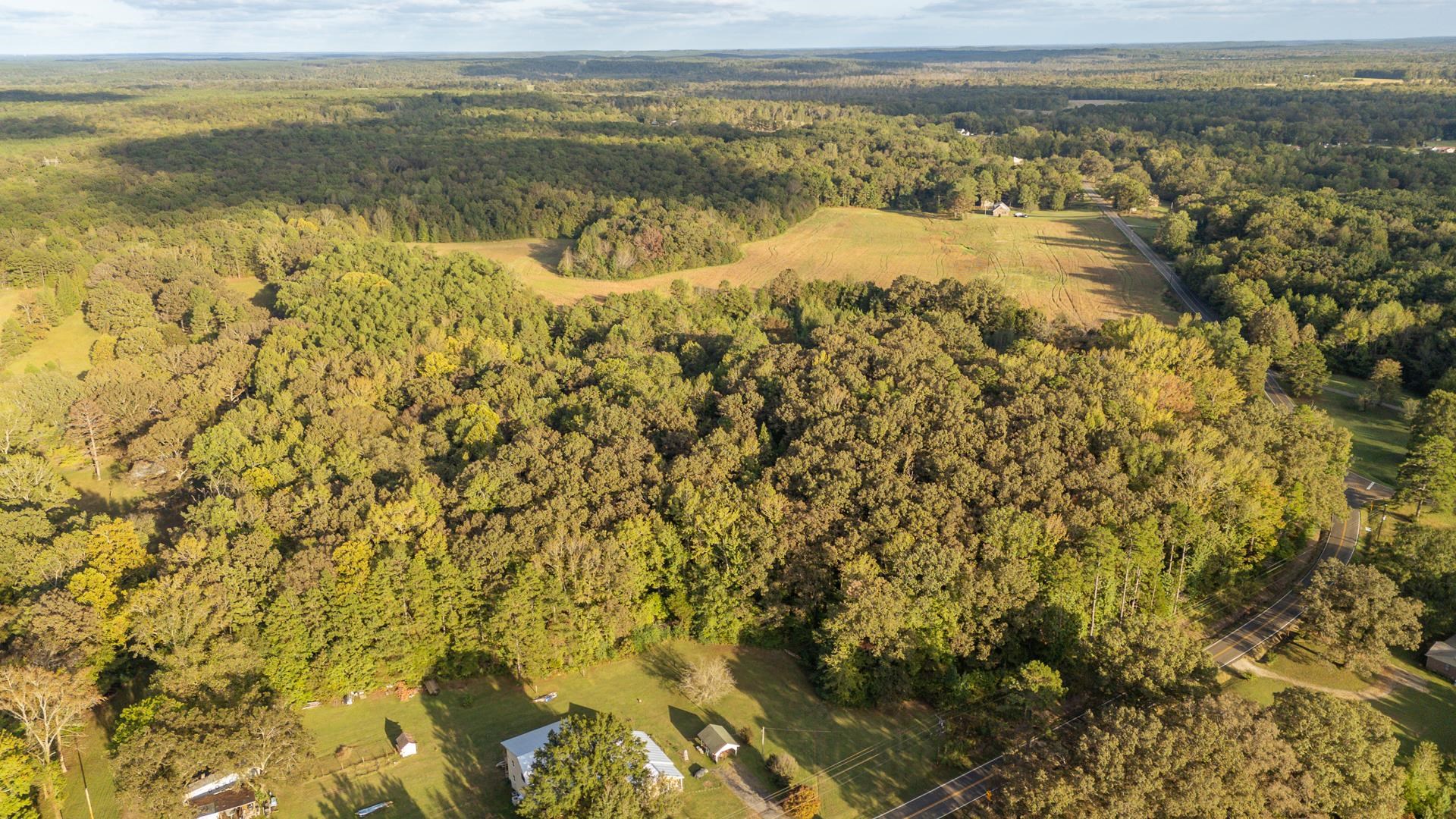 7705 Peavine Road Middleton, TN 38052 - Photo 2 of 15