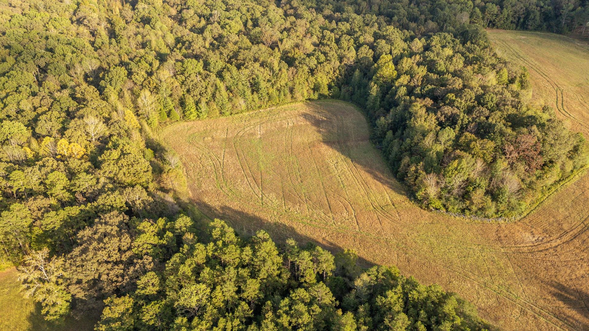 7705 Peavine Road Middleton, TN 38052 - Photo 3 of 15