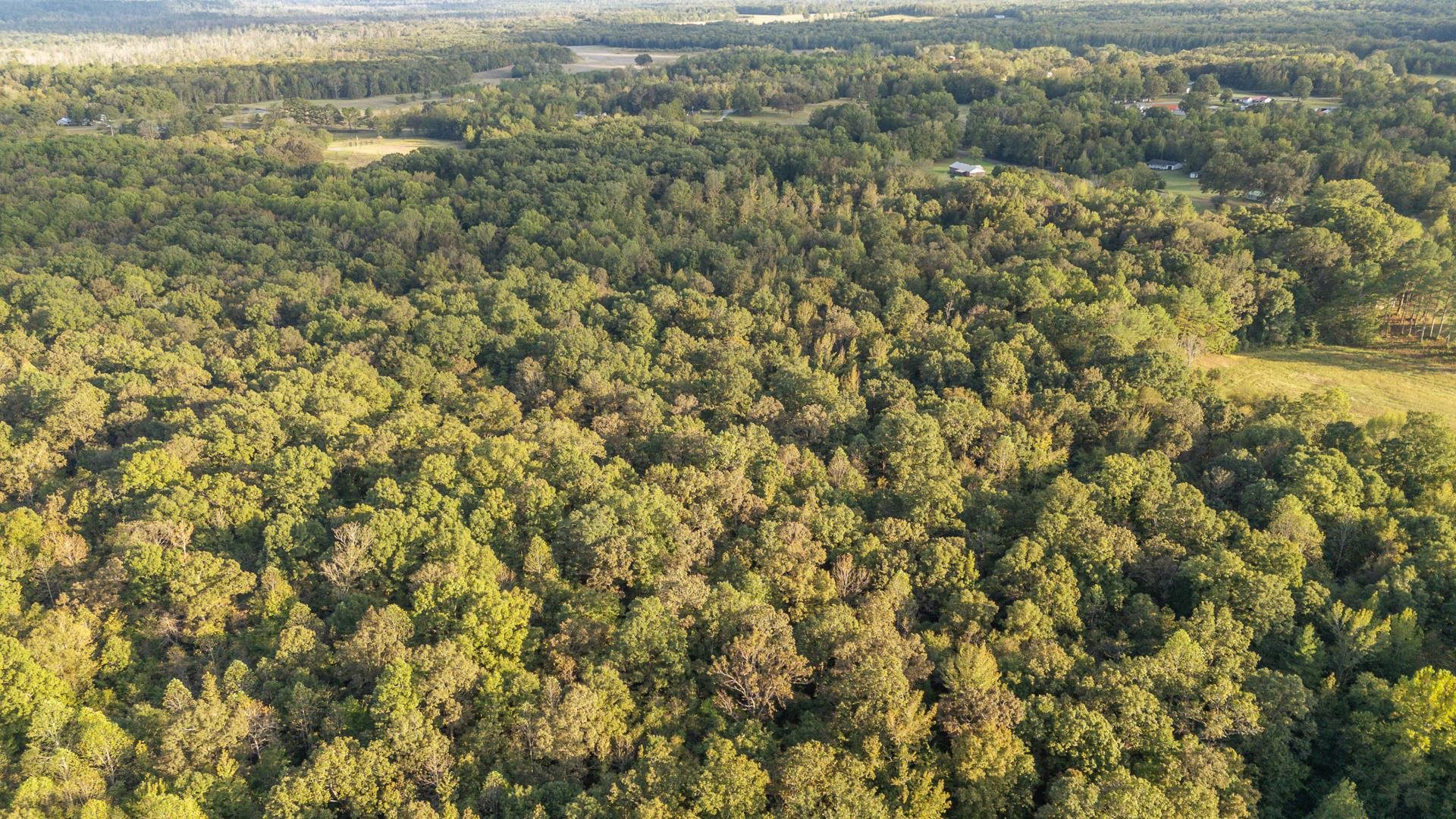 7705 Peavine Road Middleton, TN 38052 - Photo 4 of 15