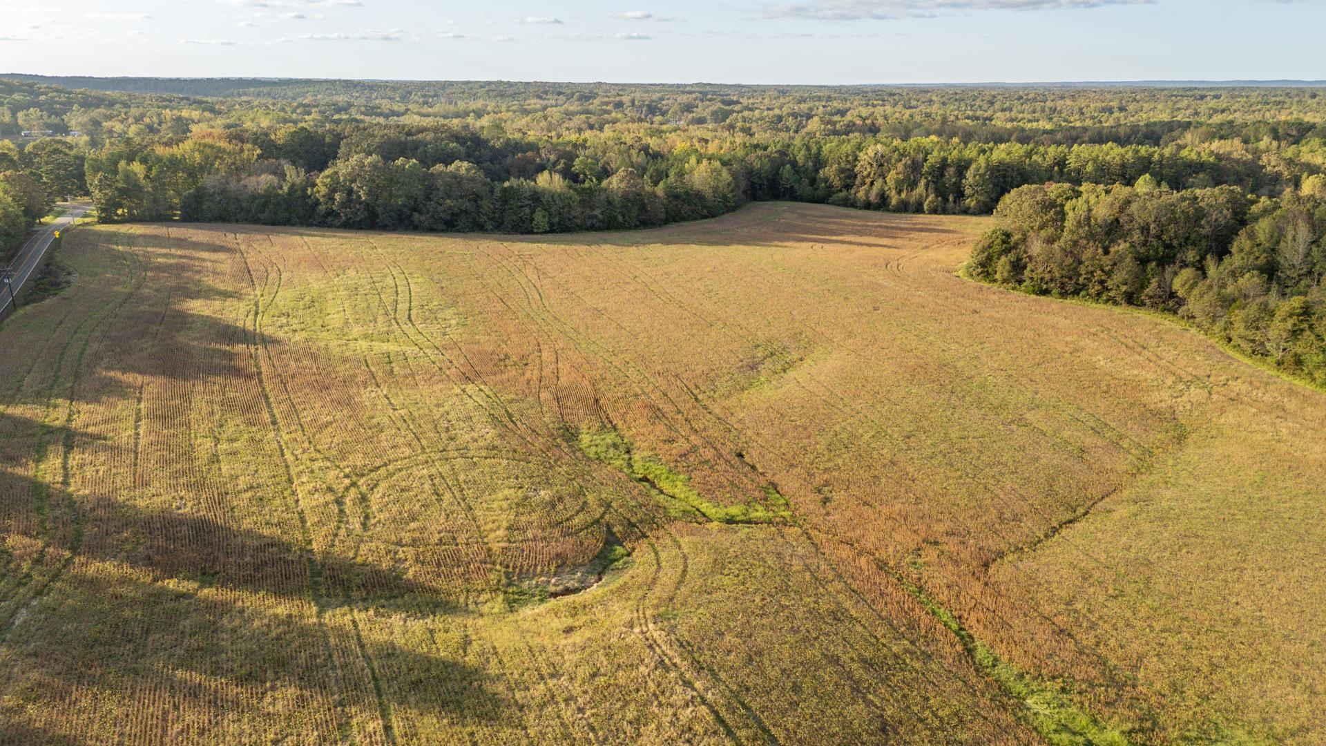 7705 Peavine Road Middleton, TN 38052 - Photo 5 of 15
