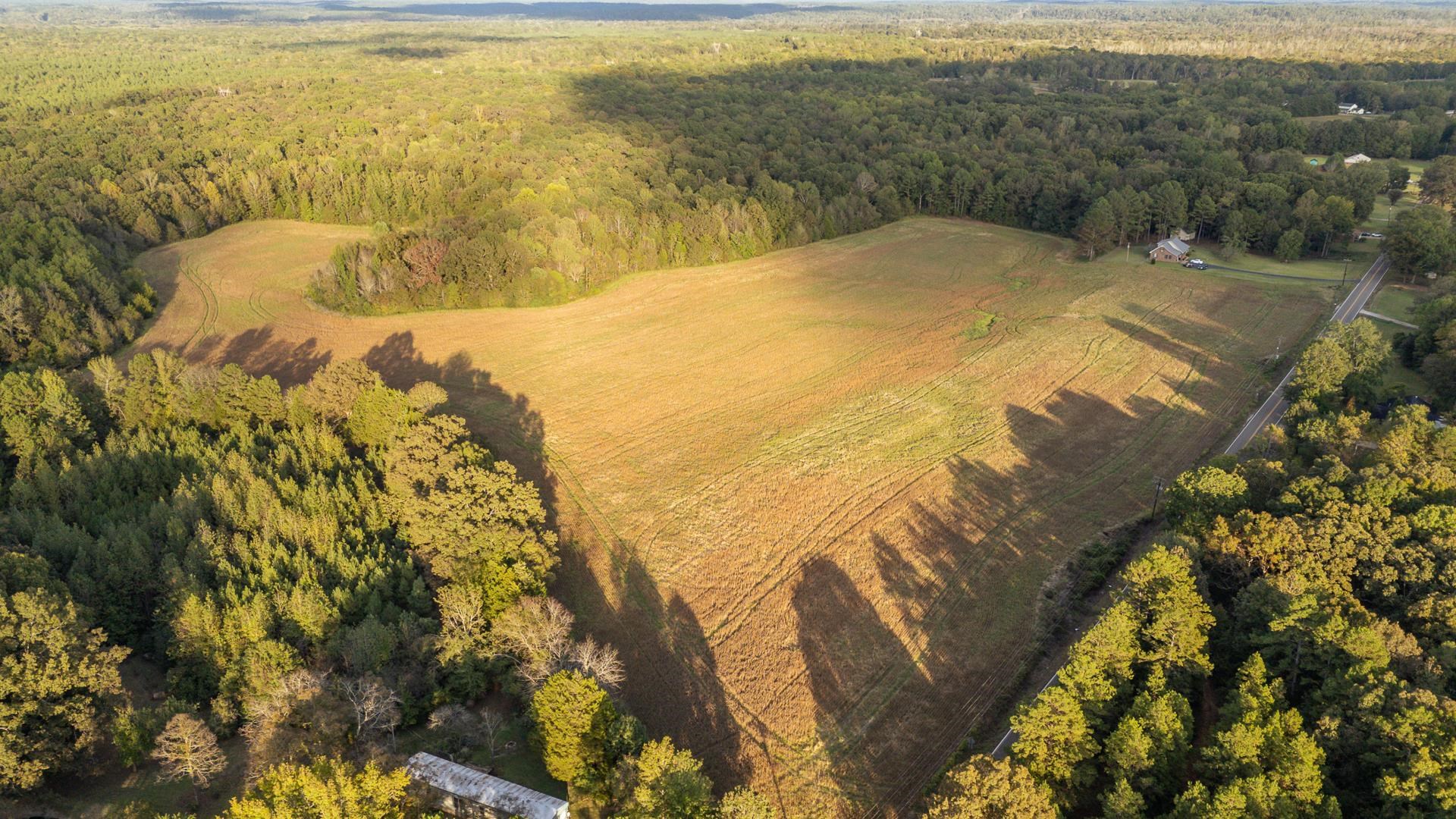7705 Peavine Road Middleton, TN 38052 - Photo 6 of 15