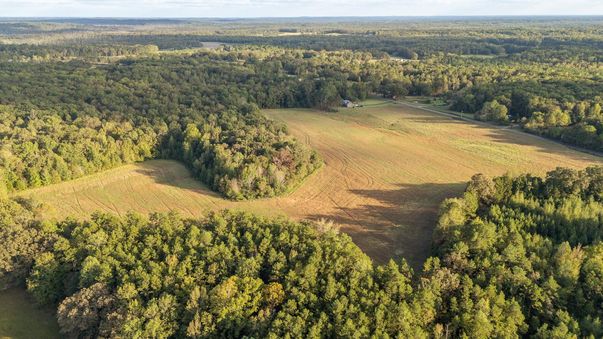 7705 Peavine Road Middleton, TN 38052 - Photo 9 of 15