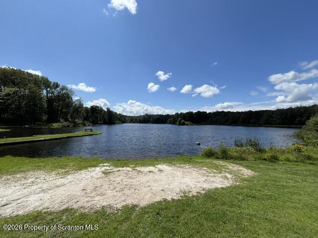 5 East Lake Road Moscow, PA 18444 - Photo 42 of 46 All Kahagon residents beach view