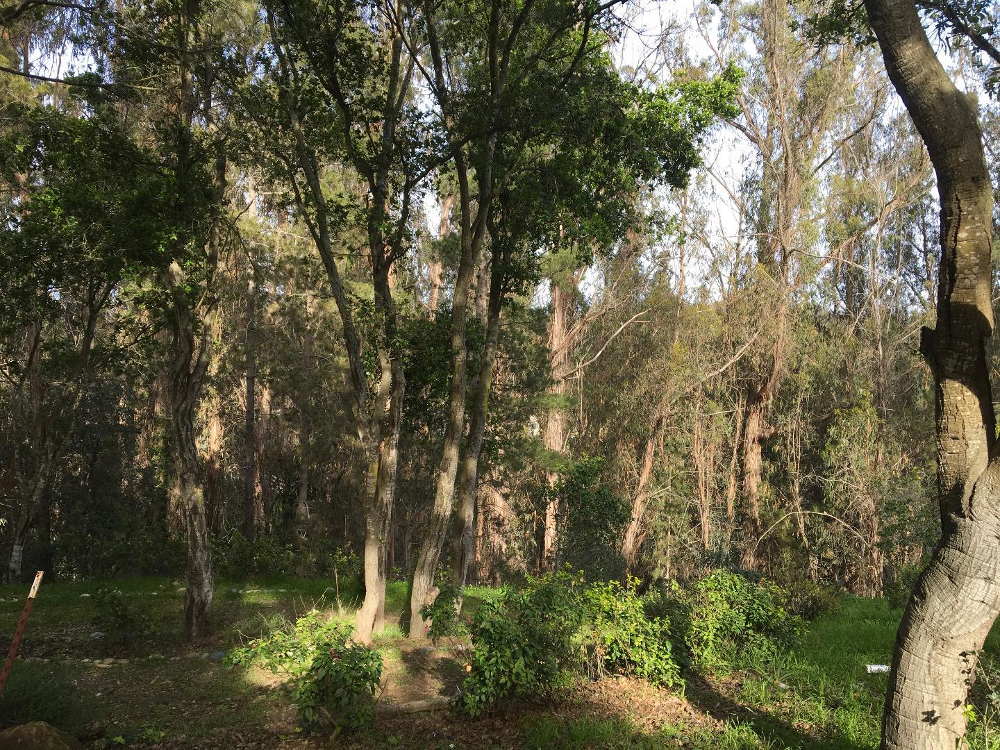 2855 Rancho Rea Road Aromas, CA 95004 - Photo 24 of 34 Gallery Image 24
