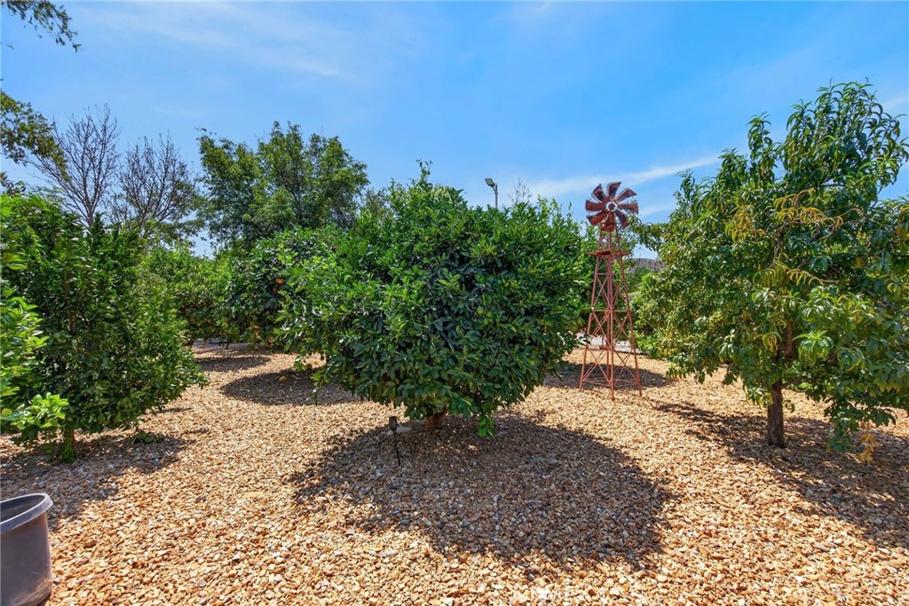 18397 Swallowtail Lane Riverside, CA 92504 - Photo 53 of 75 Gallery Image 53