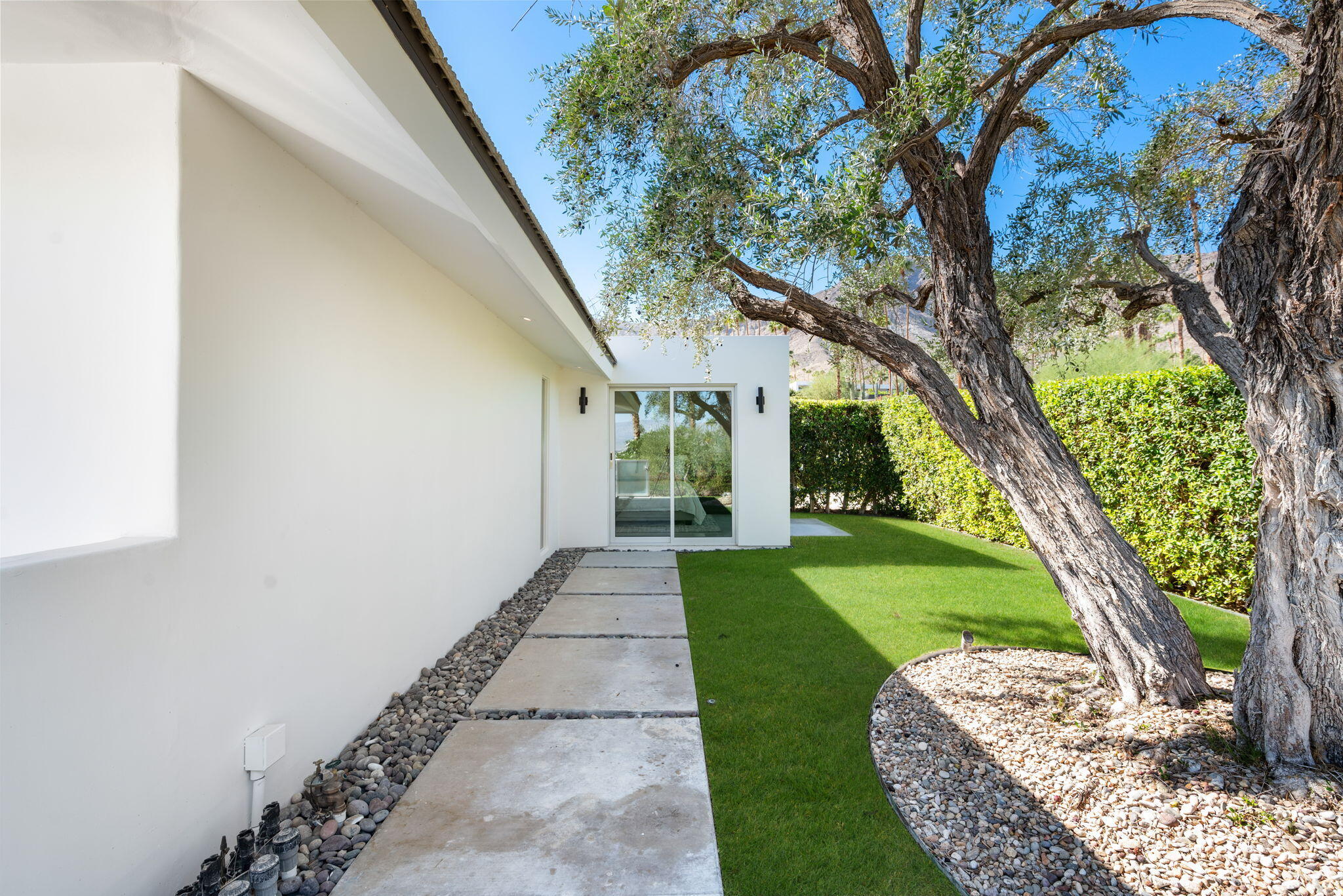 70288 Calico Road Rancho Mirage, CA 92270 - Photo 61 of 72 a view of a yard with plants and a large tree