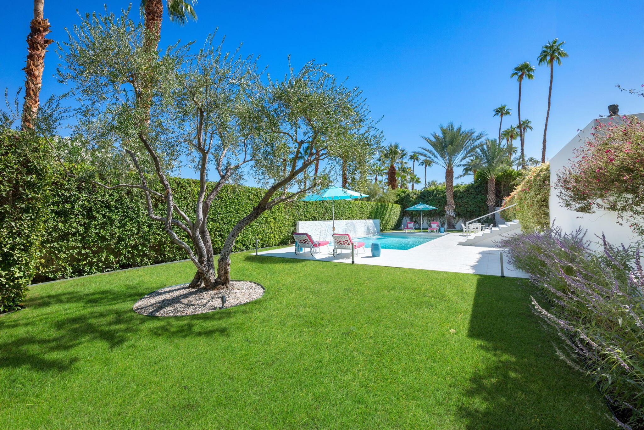 70288 Calico Road Rancho Mirage, CA 92270 - Photo 64 of 72 a view of a garden with a tree in it