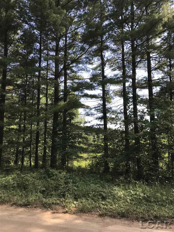 Lot 112 Hogan Road Manchester, MI 48158 - Photo 3 of 5
