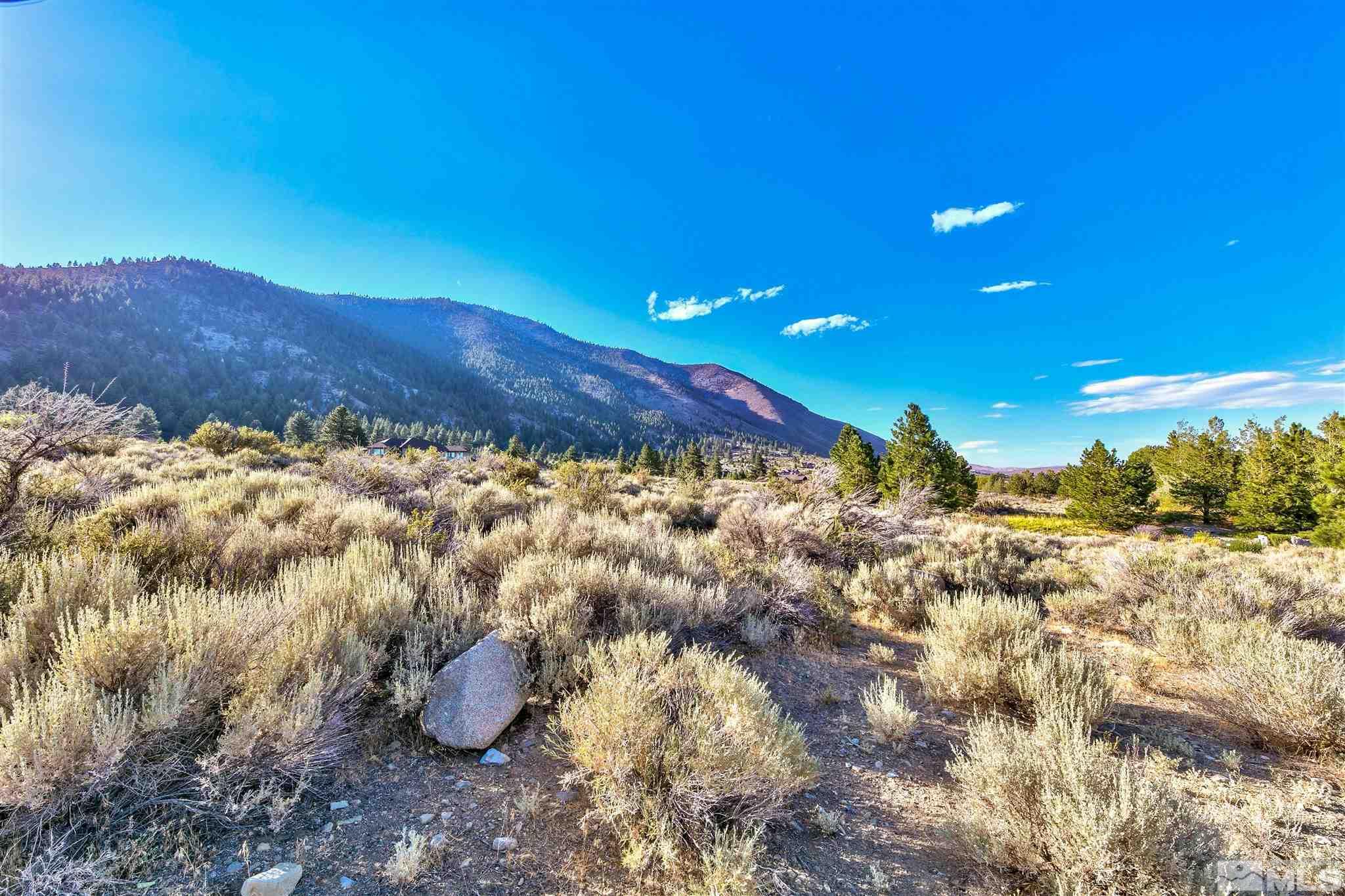 2458 Eagle Ridge Road Genoa, NV 89411 - Photo 7 of 9 Photo 7
