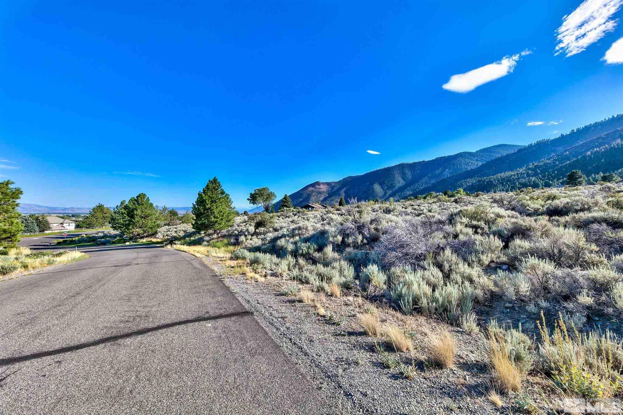 2458 Eagle Ridge Road Genoa, NV 89411 - Photo 8 of 9 Photo 8