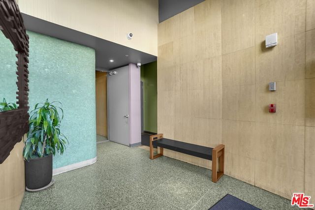 a room with window and potted plant