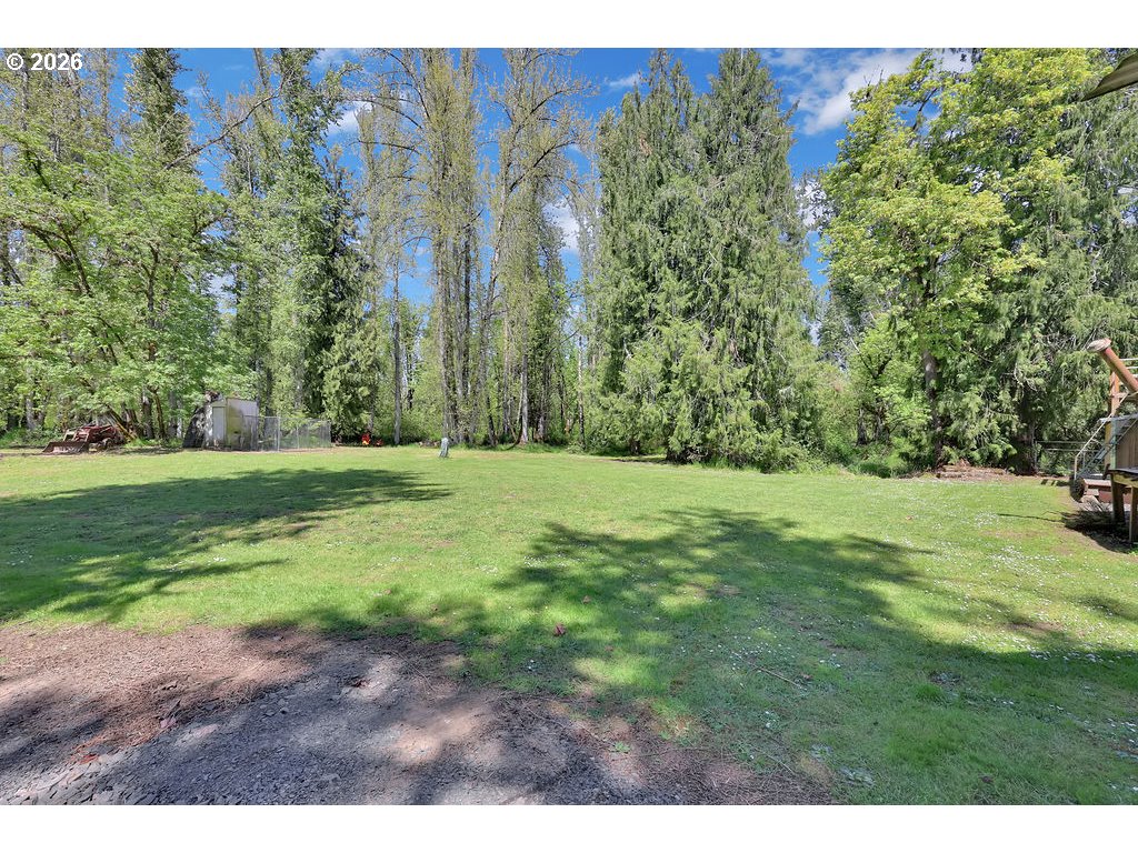 38277 Wheeler Road Dexter, OR 97431 - Photo 40 of 47 a view of a yard with a tree