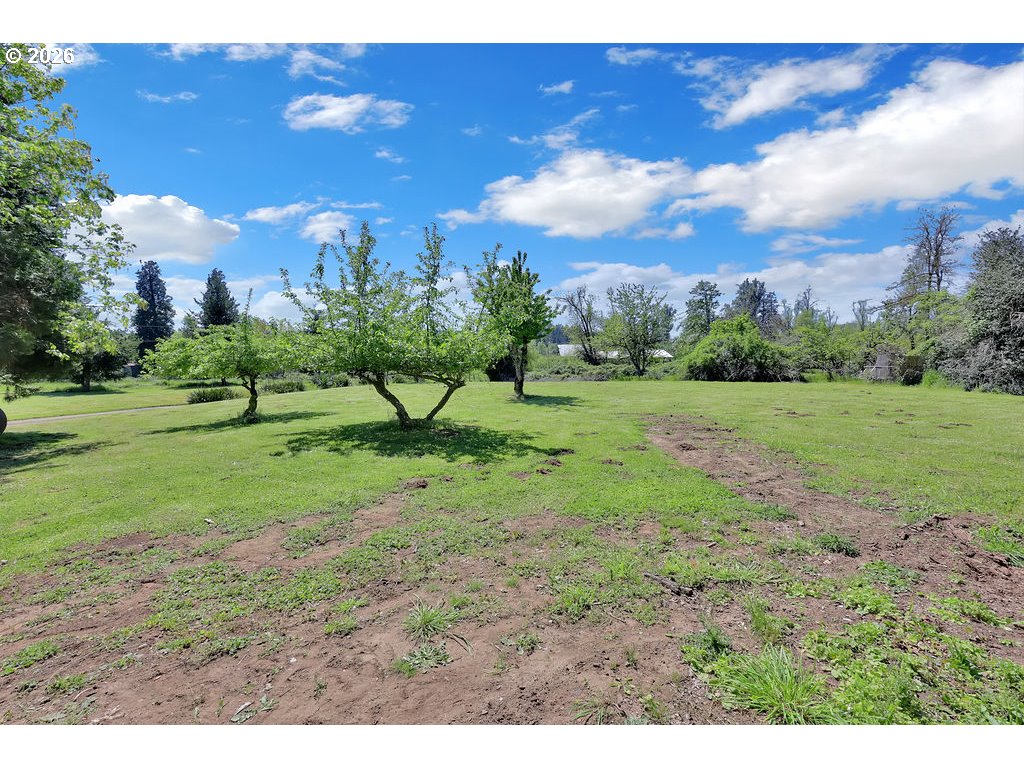 38277 Wheeler Road Dexter, OR 97431 - Photo 42 of 47 a view of a green field
