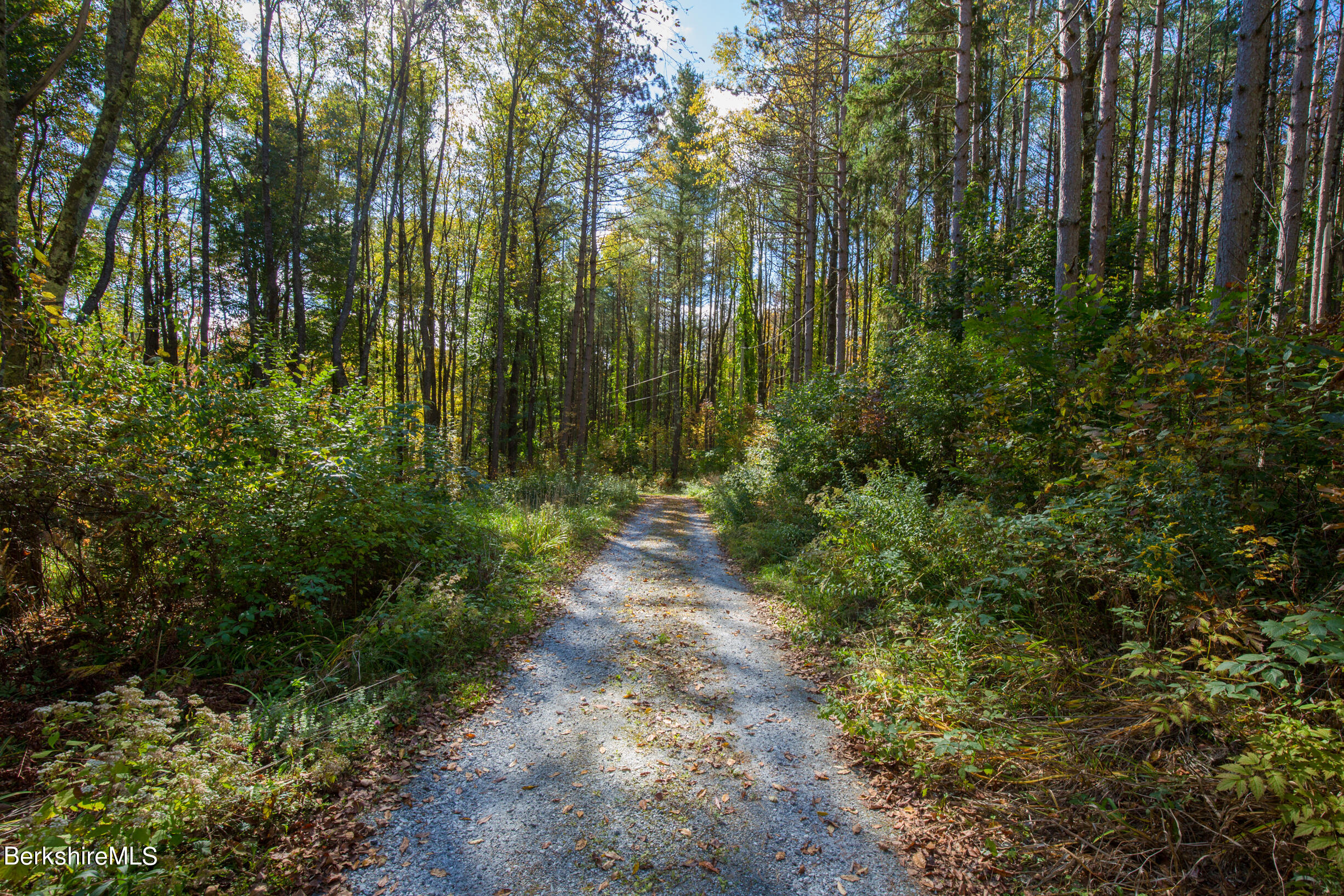 139 Tyringham Road Monterey, MA 01245 - Photo 11 of 78 vincentcarusophotography_139TyringhamRd_