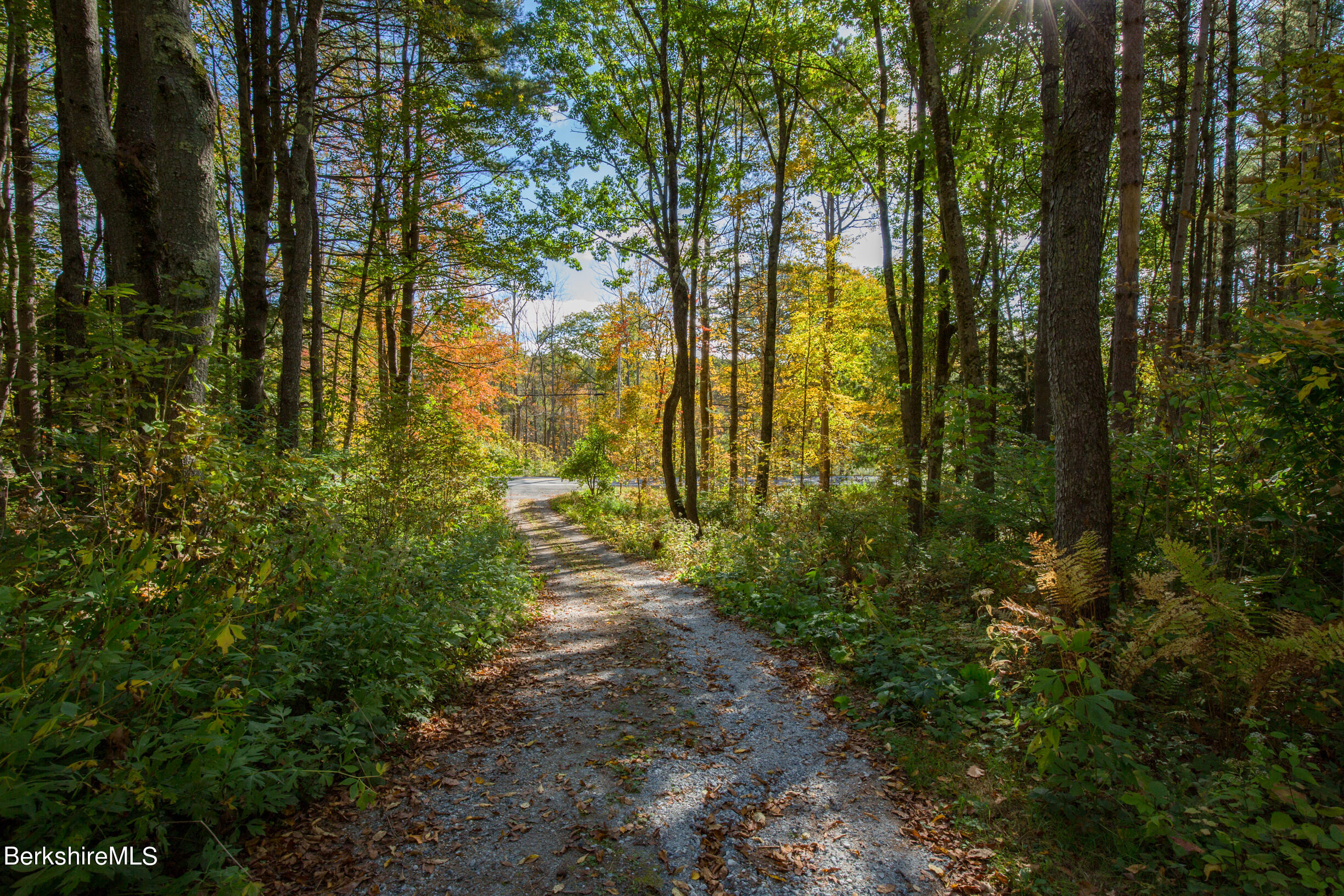 139 Tyringham Road Monterey, MA 01245 - Photo 12 of 78 vincentcarusophotography_139TyringhamRd_