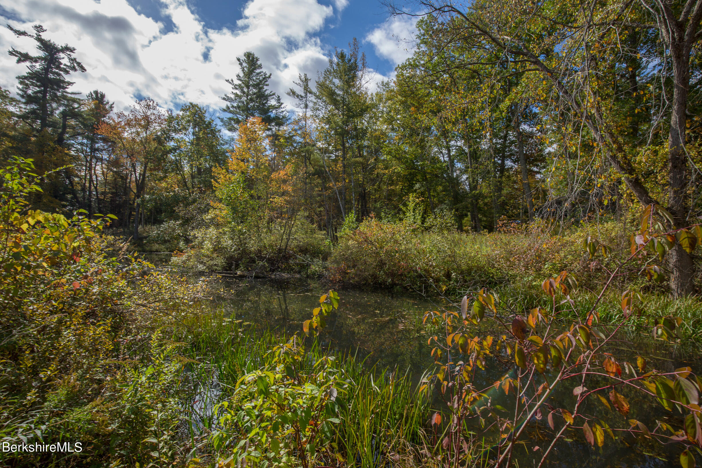 139 Tyringham Road Monterey, MA 01245 - Photo 64 of 78 vincentcarusophotography_139TyringhamRd_