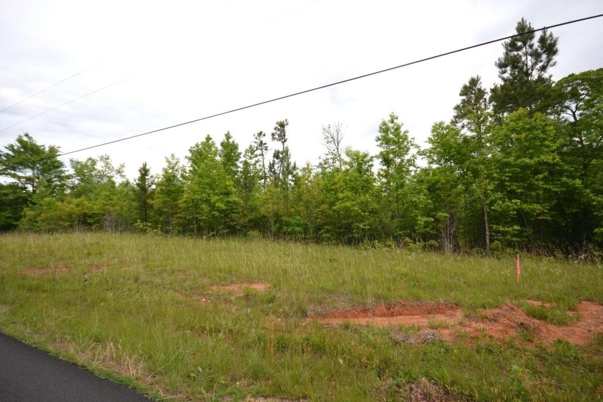 1 Poplar Springs Road, Unit TRACT 1 Buchanan, GA 30113 - Photo 1 of 1 a view of a lake with a mountain